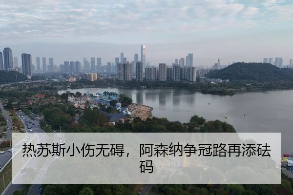re-su-si-xiao-shang-wu-ai-a-sen-na-zheng-guan-lu-zai-tian-fa-ma-3-228.jpg